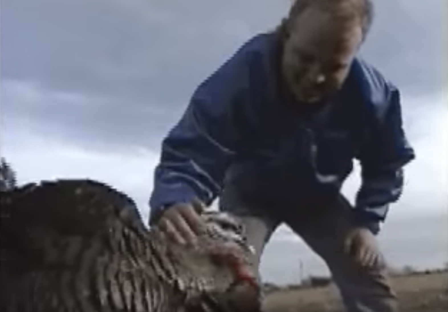 Founder Jeff Crilley's Elvis Turkey Story 1 elvis turkey thumb